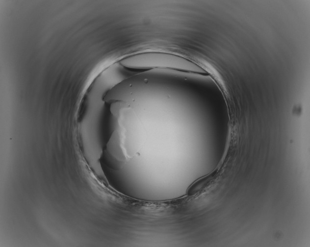 X0000090611146200707311217