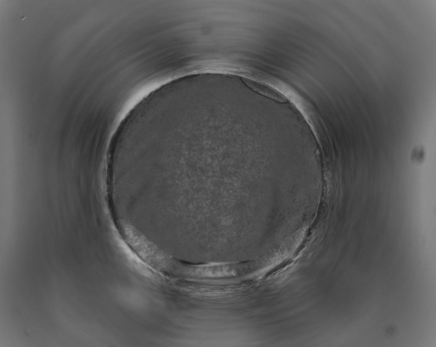 X0000090611147200707311217