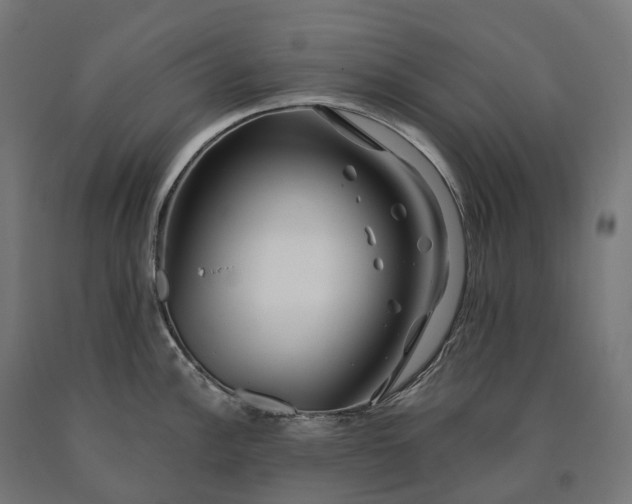 X0000090611148200707311217