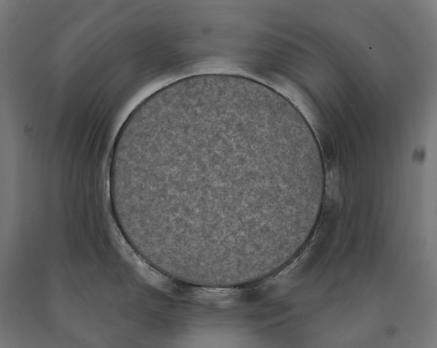 X0000090611150200707311217