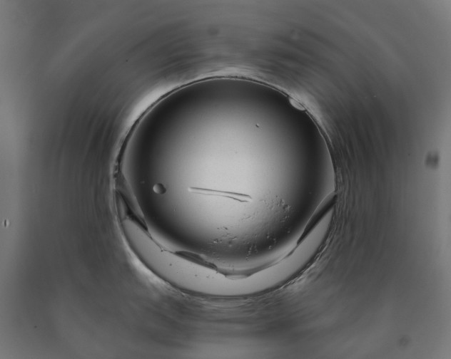 X0000090611151200707311217