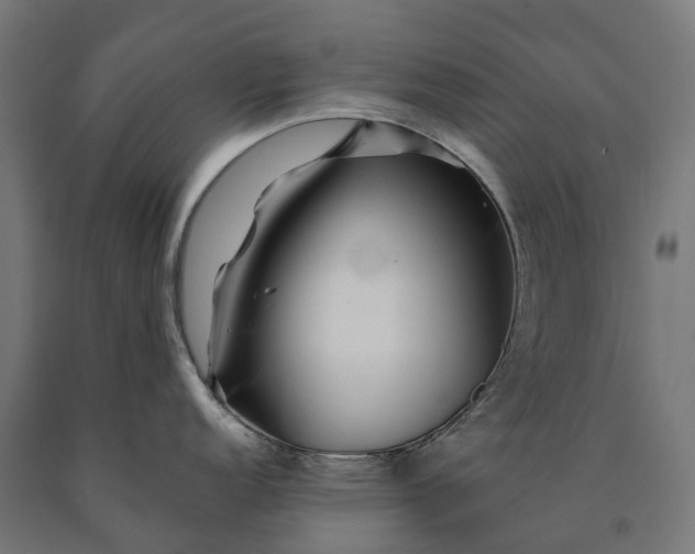 X0000090611152200707311217