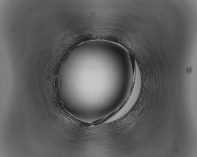 X0000090611153200707311216