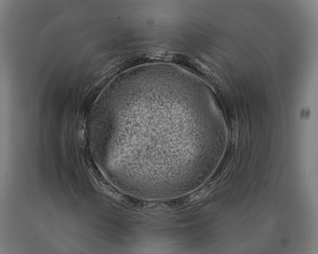 X0000090611154200707311216