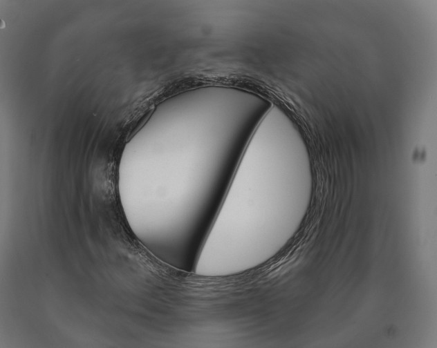 X0000090611156200707311216