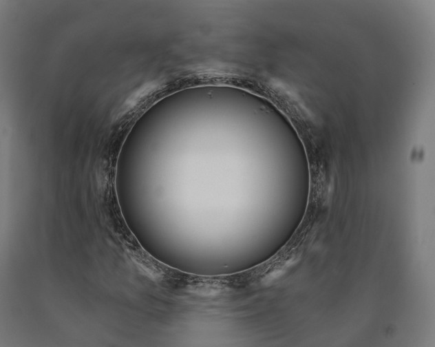 X0000090611157200707311216