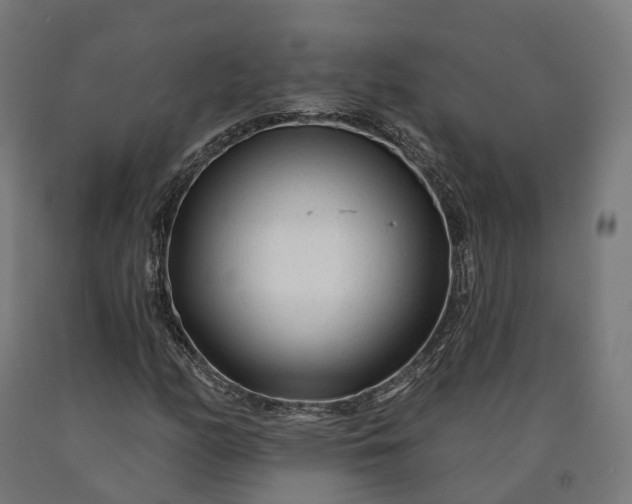 X0000090611158200707311216