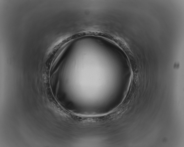 X0000090611159200707311216