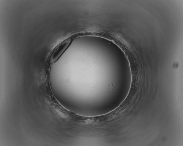 X0000090611160200707311216