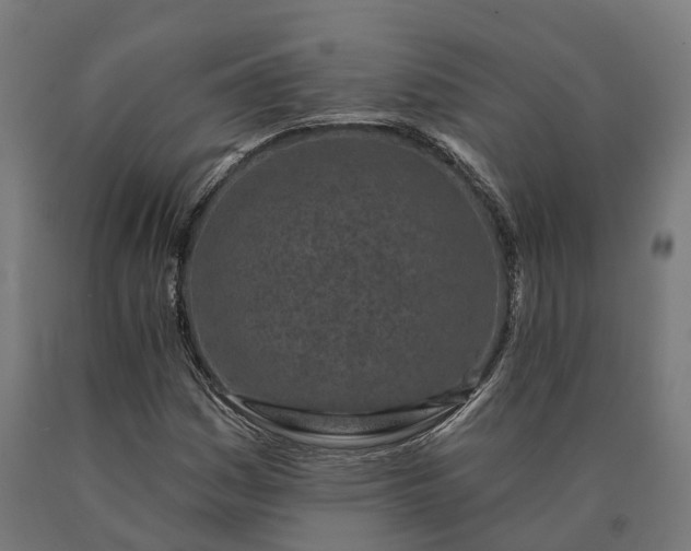 X0000090611161200707311216