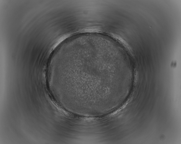 X0000090611162200707311216