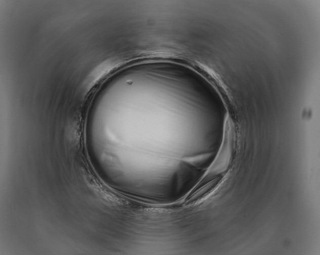 X0000090611163200707311216