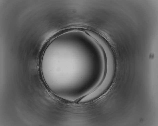 X0000090611164200707311216