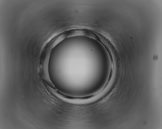 X0000090611165200707311216