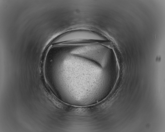 X0000090611166200707311216