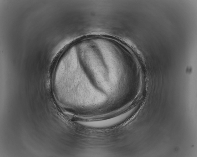 X0000090611167200707311216