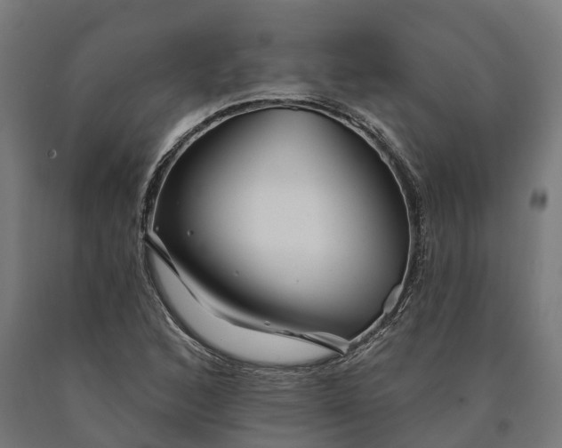 X0000090611168200707311216