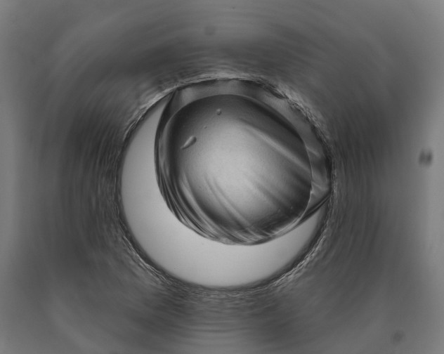 X0000090611169200707311216