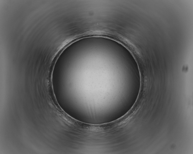 X0000090611170200707311216