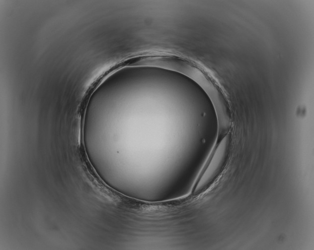 X0000090611171200707311216