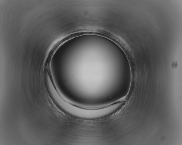 X0000090611172200707311216