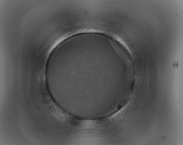 X0000090611173200707311216