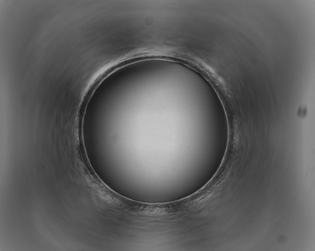 X0000090611174200707311216