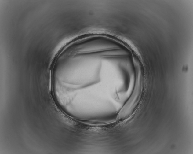 X0000090611175200707311216