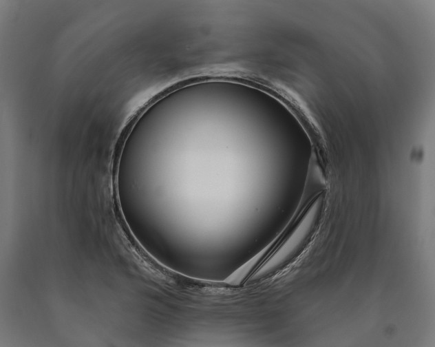 X0000090611176200707311216