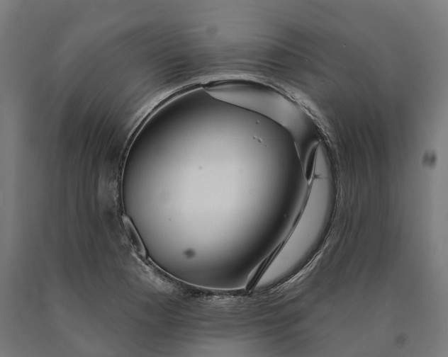 X0000090611177200707311216