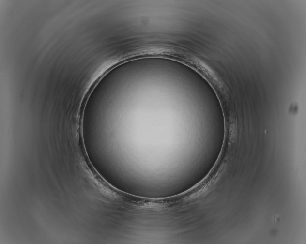 X0000090611178200707311216