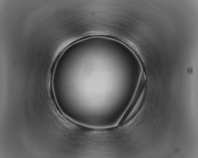 X0000090611179200707311216