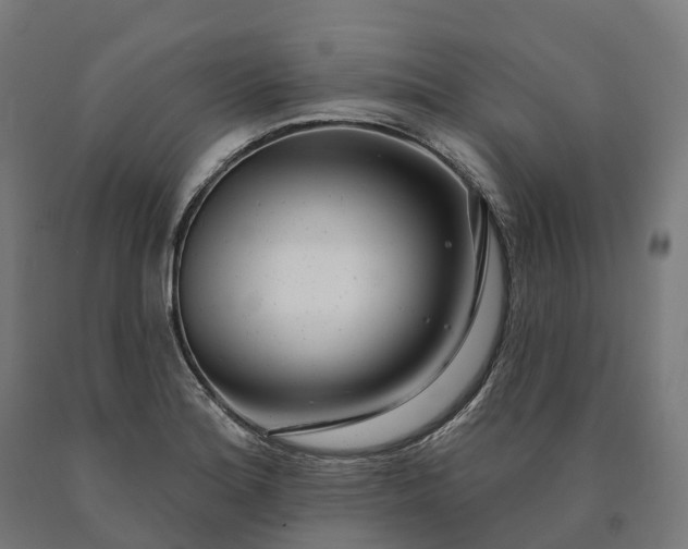 X0000090611180200707311216