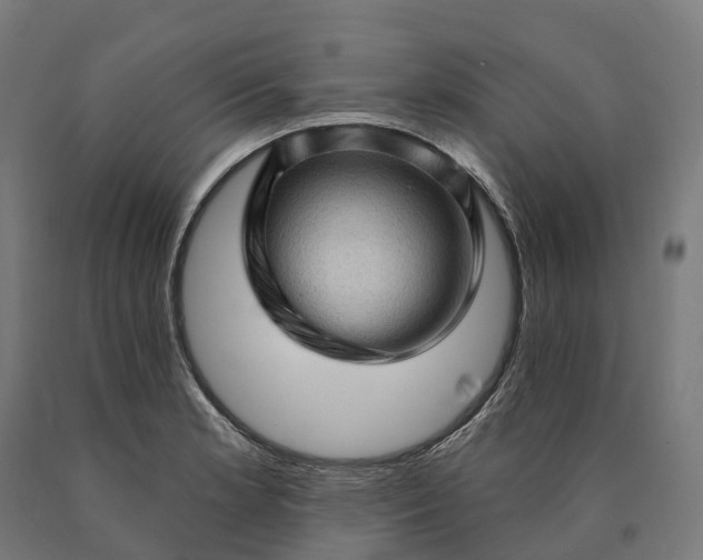 X0000090611181200707311216