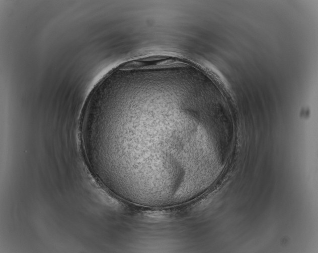 X0000090611182200707311216