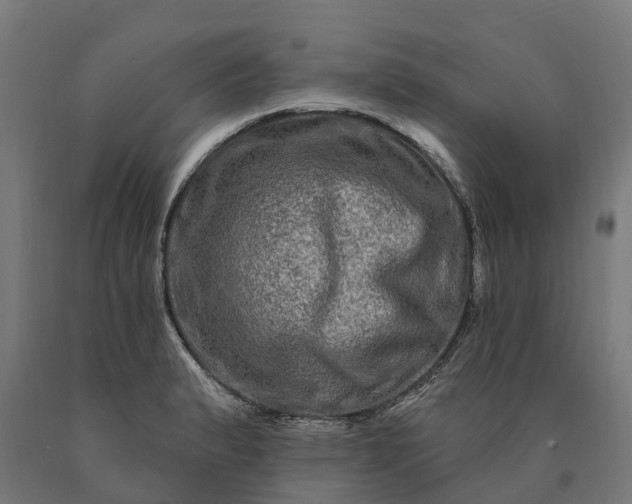 X0000090611183200707311216