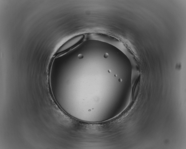 X0000090611184200707311216