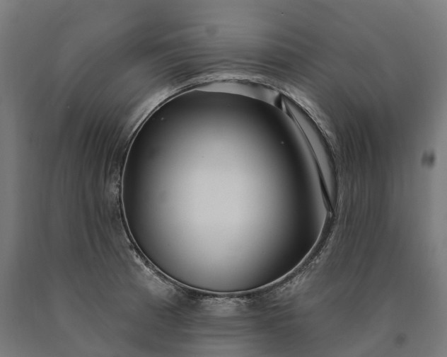 X0000090611185200707311216