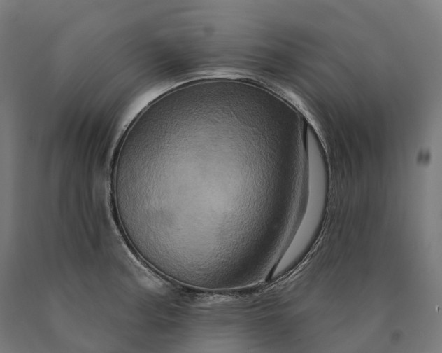 X0000090611187200707311216