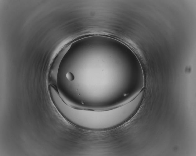 X0000090611188200707311216