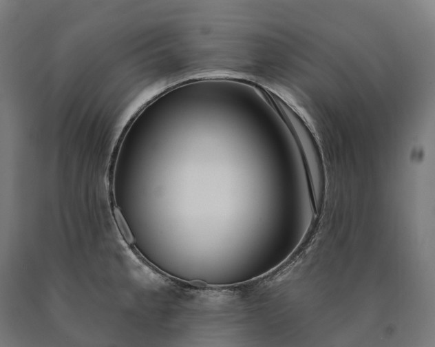 X0000090611189200707311216