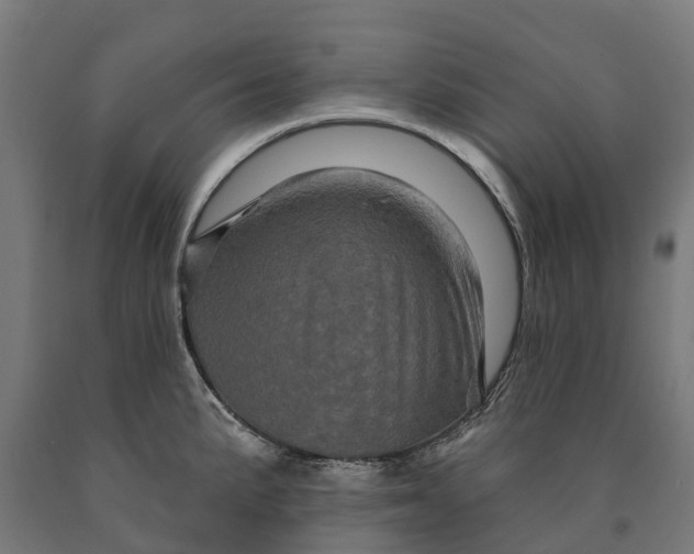 X0000090611191200707311216