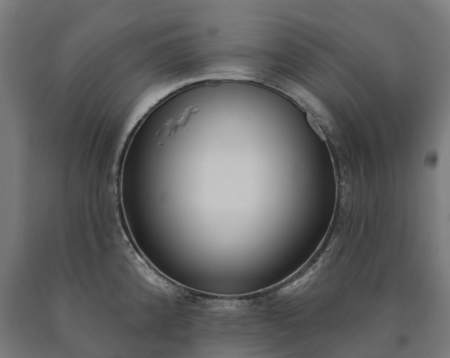 X0000090611192200707311216