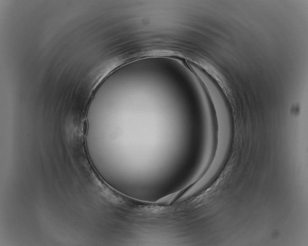 X0000090611193200707311216