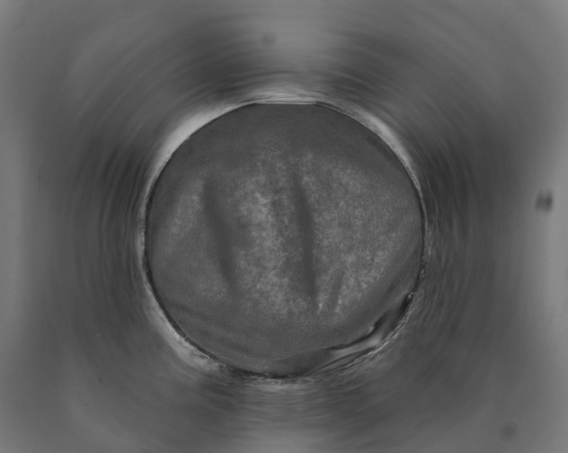 X0000090611195200707311216