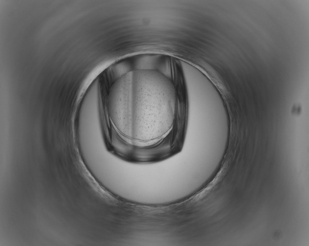 X0000090611196200707311216