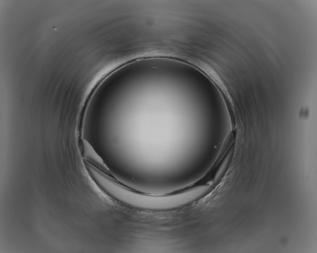 X0000090611197200707311216