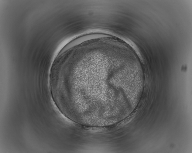 X0000090611199200707311216