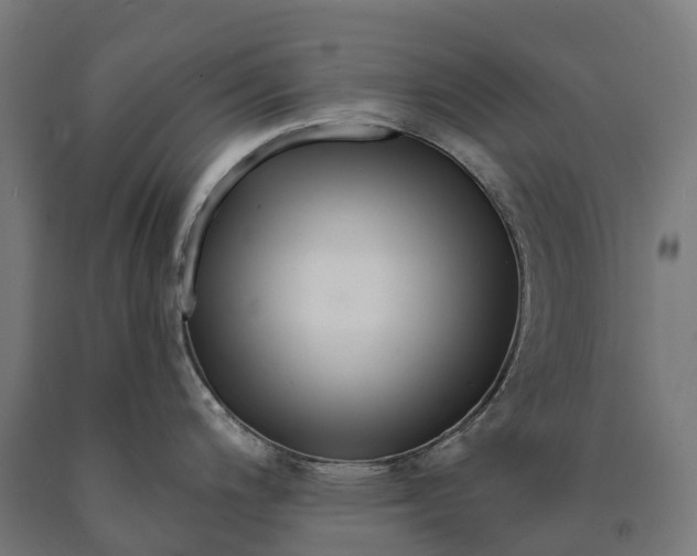 X0000090611200200707311216