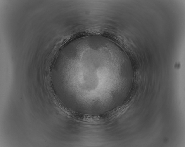 X0000090611201200707311215